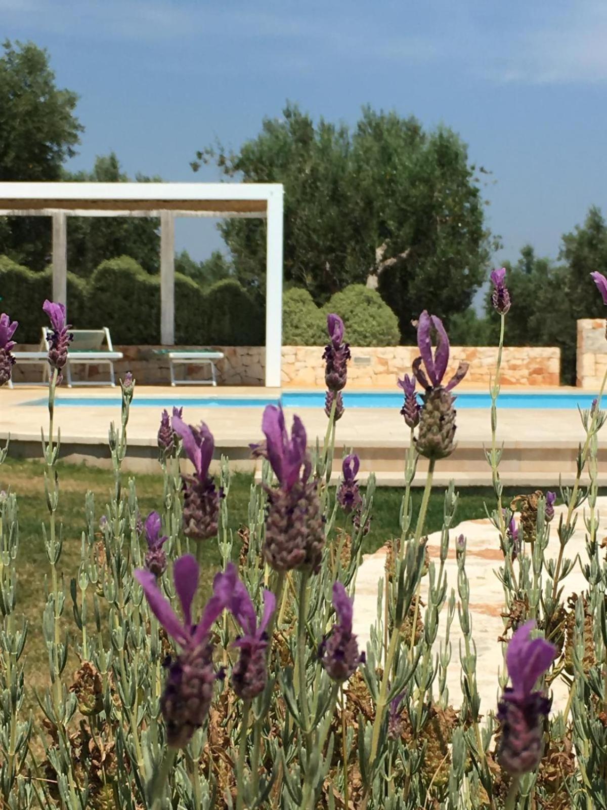 Trullo Amato With Exclusive Pool * Rom